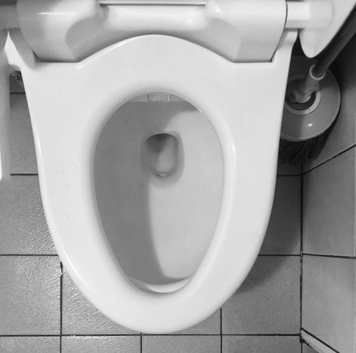 TOTO Washlet TCF6601T(長型馬桶的蓋裝在短型馬桶)