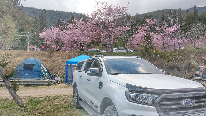 4K 武陵農場露營趣