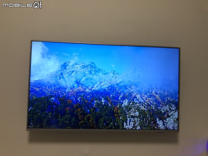 點我看大圖 飛利浦androidtv 55吋PUH7374的麻瓜版心得。