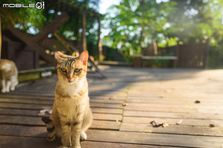 微光神鏡 Nikon Z 20mm f/1.8S 什麼都給你封頂了!