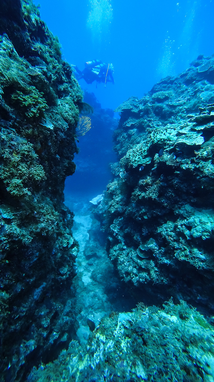 第一次的合界船潛，水清無流輕鬆玩