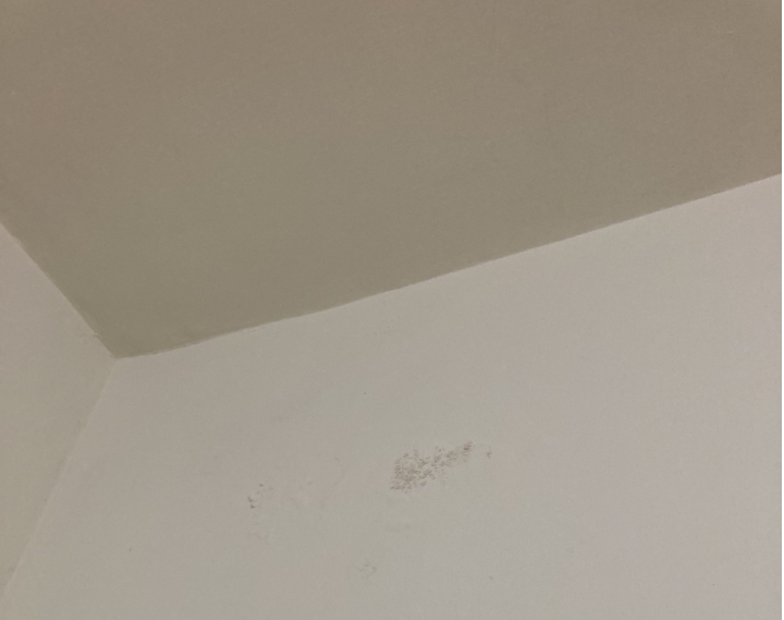請問這是壁癌嗎