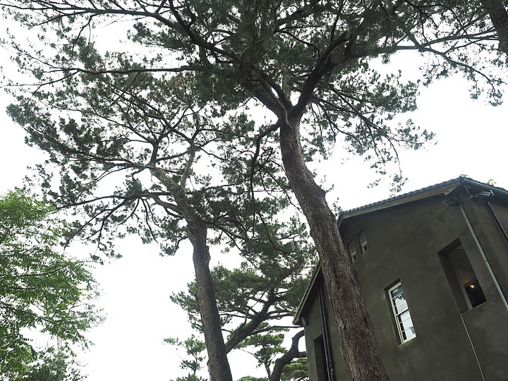 花蓮市 將軍府、松園別館、台開心農場、星巴克洄瀾門市、晨研早午餐 —梅雨季中的花蓮旅行,第一部