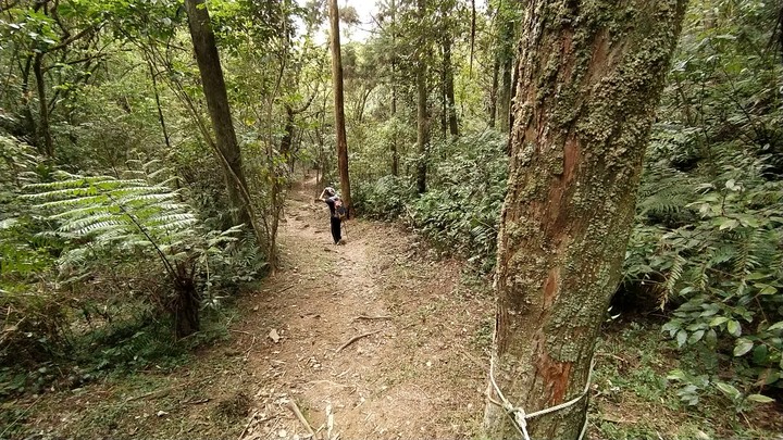 [樂山童盟] [新北雙溪] 虎豹潭古道-樓仔厝古道