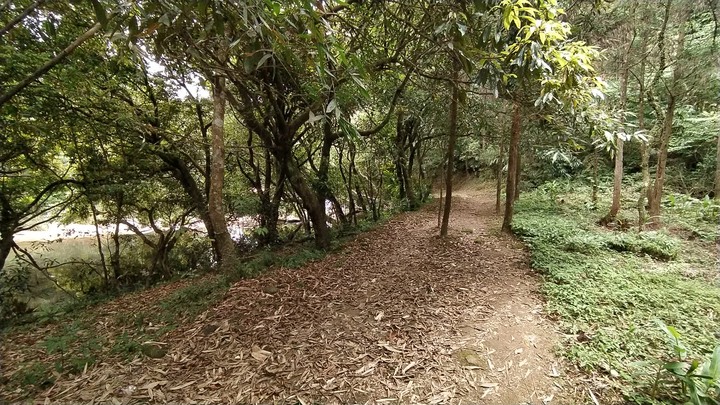 [樂山童盟] [新北雙溪] 虎豹潭古道-樓仔厝古道