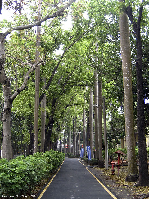 最甜蜜的單車環島(2011年追尋消失中的煙囪)