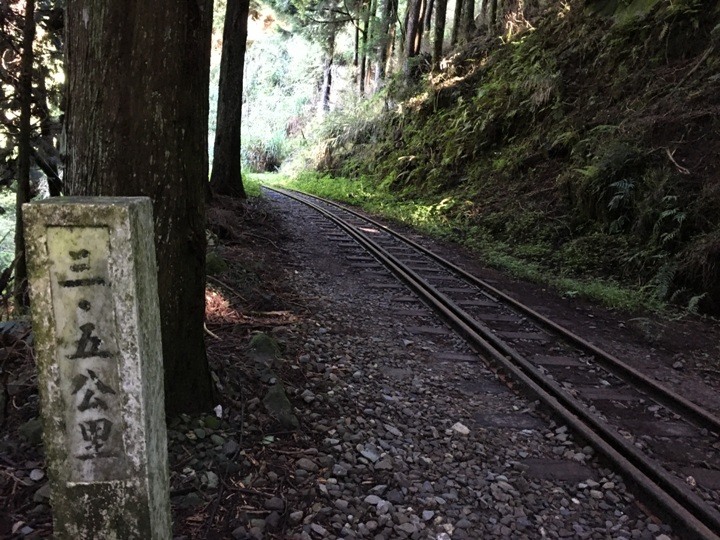 一個人探訪消失在雲霧中的森林鐵道-阿里山眠月線