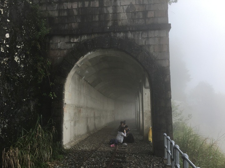 一個人探訪消失在雲霧中的森林鐵道-阿里山眠月線