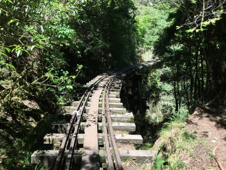 一個人探訪消失在雲霧中的森林鐵道-阿里山眠月線