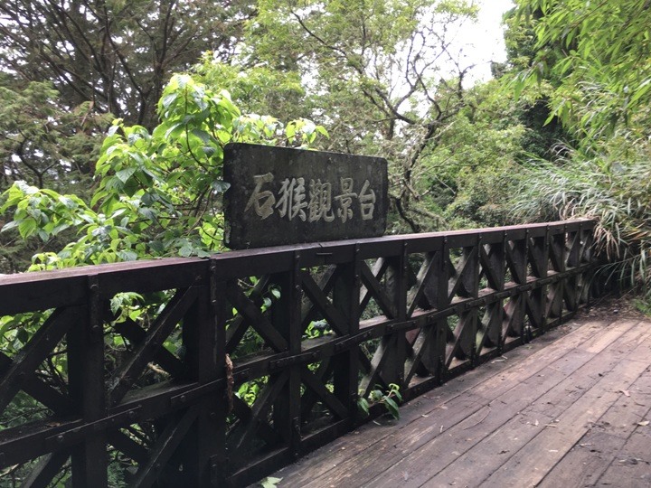 一個人探訪消失在雲霧中的森林鐵道-阿里山眠月線