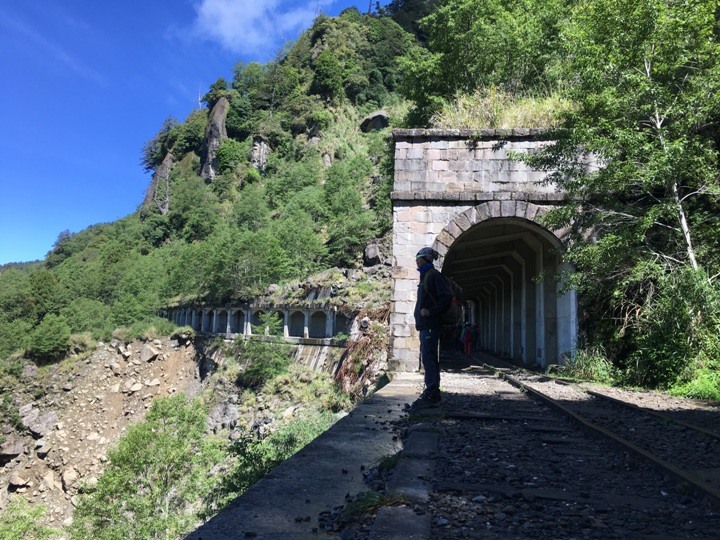 一個人探訪消失在雲霧中的森林鐵道-阿里山眠月線