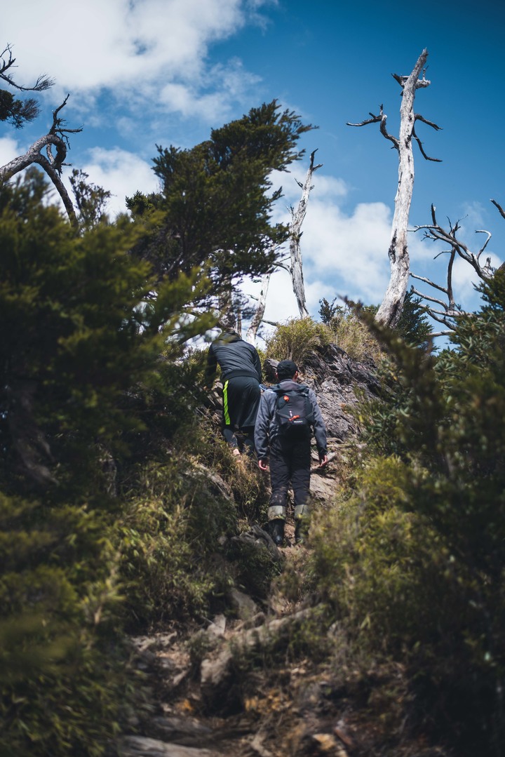 點我看大圖 登山道|北大武・單攻