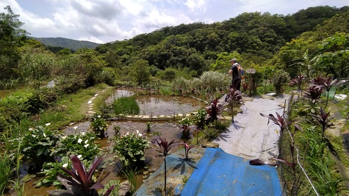 [樂山童盟] [新北雙溪] 虎豹潭古道-樓仔厝古道