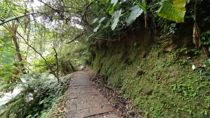 [樂山童盟] [新北石碇] 烏塗溪步道
