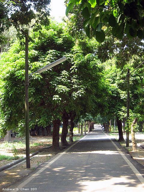 最甜蜜的單車環島(2011年追尋消失中的煙囪)