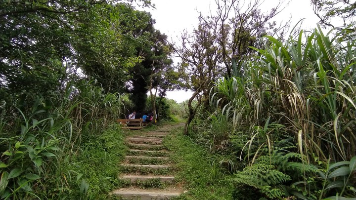 [樂山童盟] [基隆七堵] 姜子寮登山步道