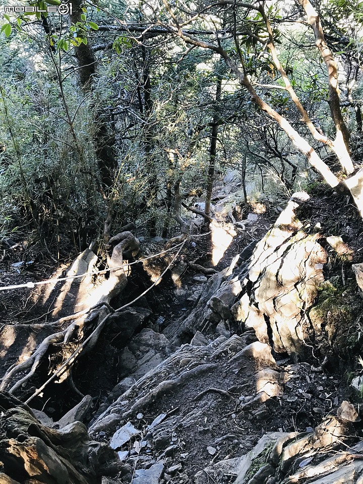 【百岳】合歡西北峰2日行 – Day 2
