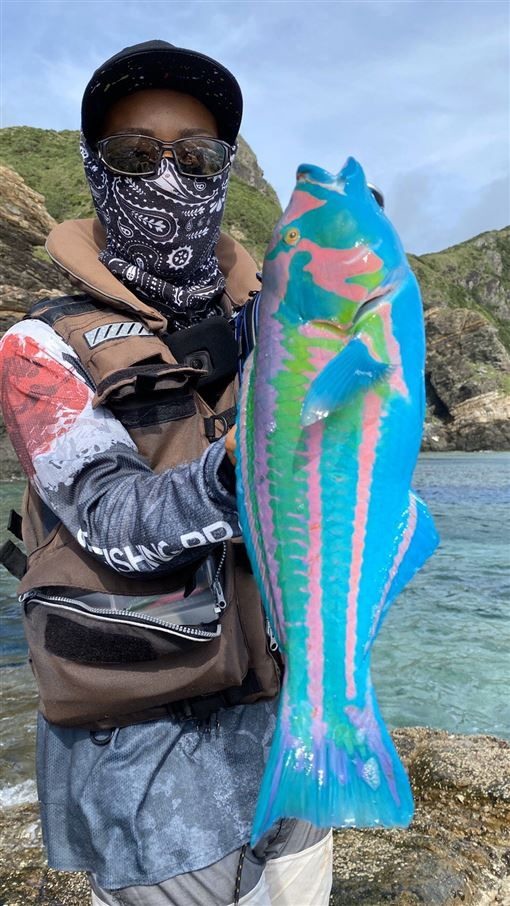 顏色鮮豔超罕見 男曬「油漆怪魚」