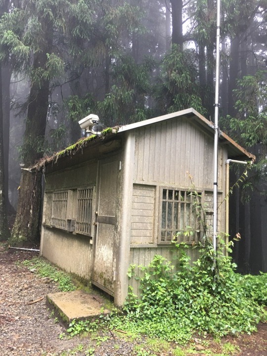 一個人探訪消失在雲霧中的森林鐵道-阿里山眠月線