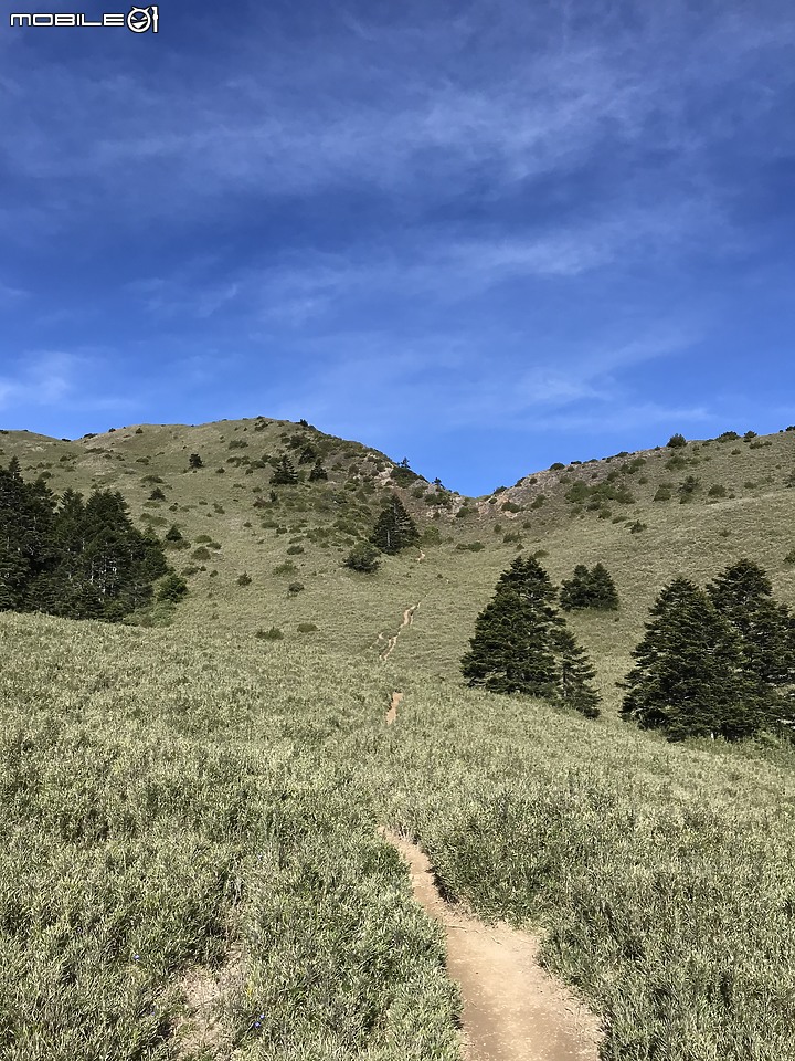 【百岳】合歡西北峰2日行 – Day 2