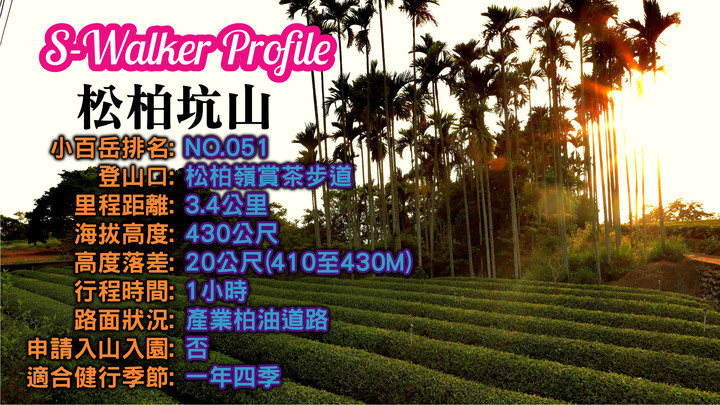 小百岳051|南投|松柏坑山|台灣唯一珍奶三角點|名間鄉