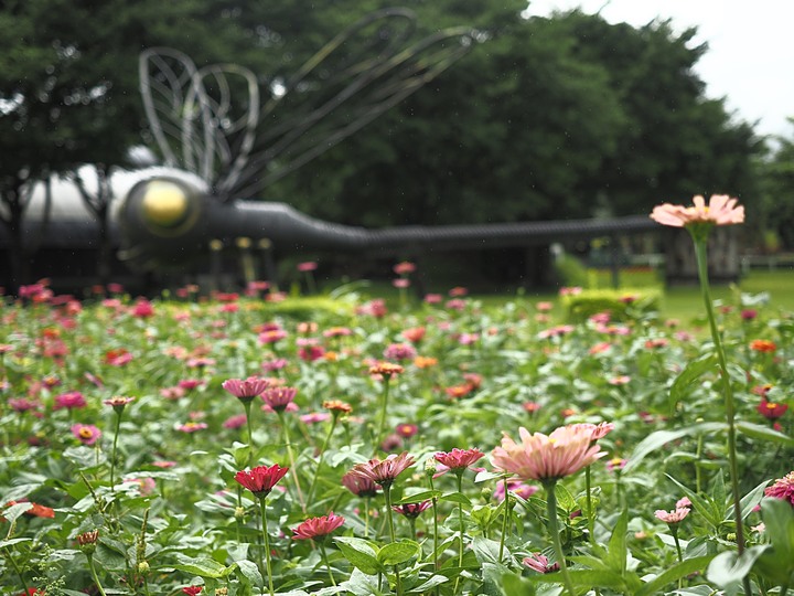 花蓮 台泥DAKA園區、CUME 咖哩、知卡宣森林公園、吉安火車站、美崙山生態展示館、台灣原住民族文化館、福杯滿溢民宿、戴記扁食—梅雨季中的花蓮旅行，第二部