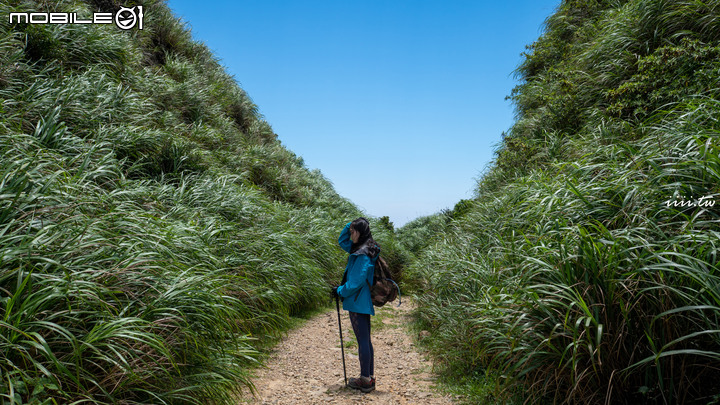 東北角攝影秘境・哈巴狗岩