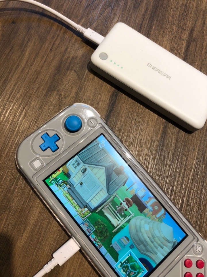 Switch行動電源新發現:Energear