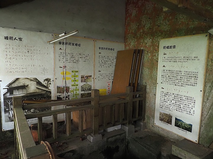 花蓮 富源車站|拔仔庄常民文化館、大農大富平地森林園區、光復車站、翁游韭菜臭豆腐、廖快菸樓|大榮國小教師宿舍|林田警察官吏派出所及舊林田派出所、森山舍咖啡、新城(太魯閣)車站、崇德車站—梅雨季中的花蓮旅行,第四部