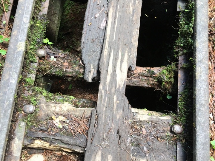 一個人探訪消失在雲霧中的森林鐵道-阿里山眠月線