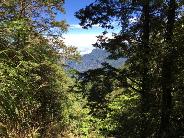 一個人探訪消失在雲霧中的森林鐵道-阿里山眠月線