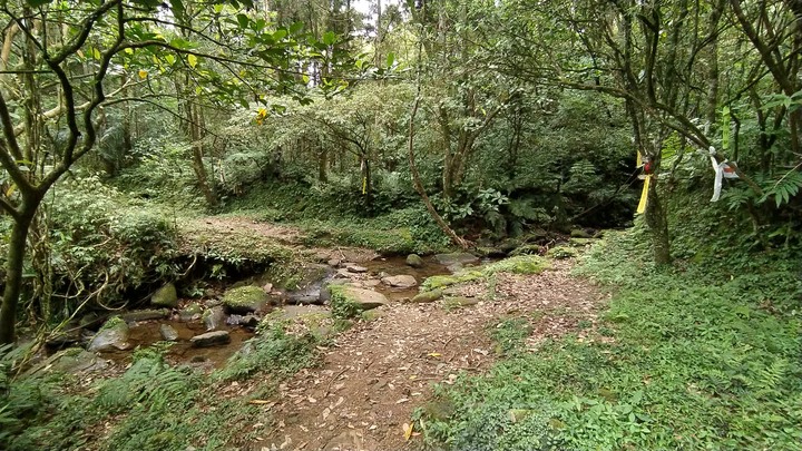 [樂山童盟] [新北雙溪] 虎豹潭古道-樓仔厝古道