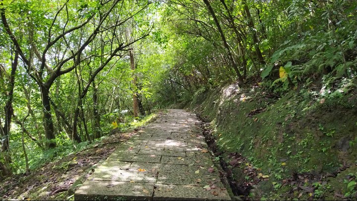 [樂山童盟] [新北石碇] 烏塗溪步道