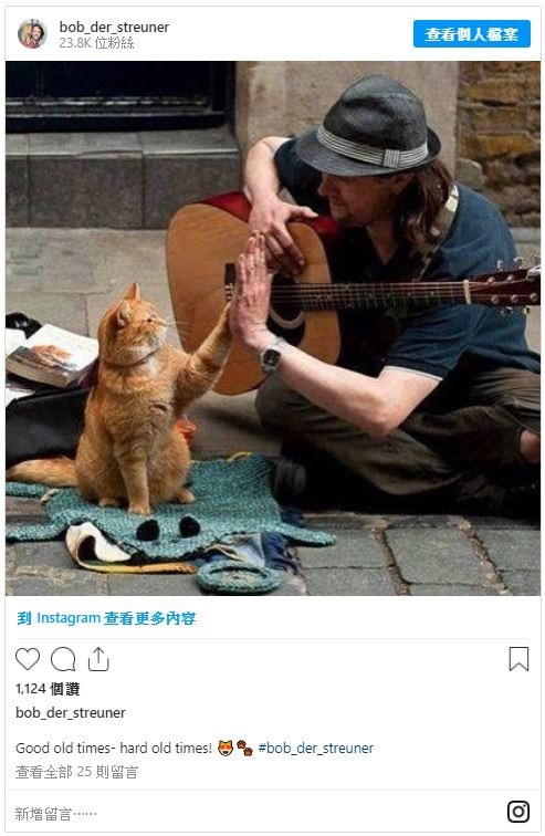 《遇見街貓BOB》最紅街貓「Bob」享年14歲,主人悲痛表示:「我生命的燈光熄滅了!」