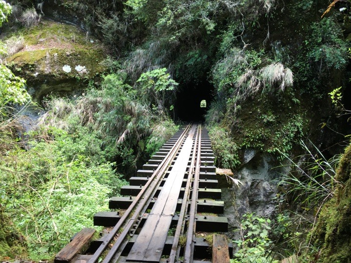 一個人探訪消失在雲霧中的森林鐵道-阿里山眠月線
