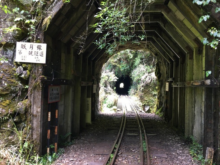 一個人探訪消失在雲霧中的森林鐵道-阿里山眠月線