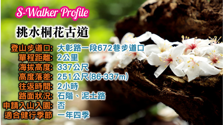 一日往返｜賞景｜秘境｜親子｜必去｜推薦步道