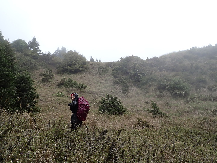 《桃山舊路》佐得寒山經塔雅府山上桃山