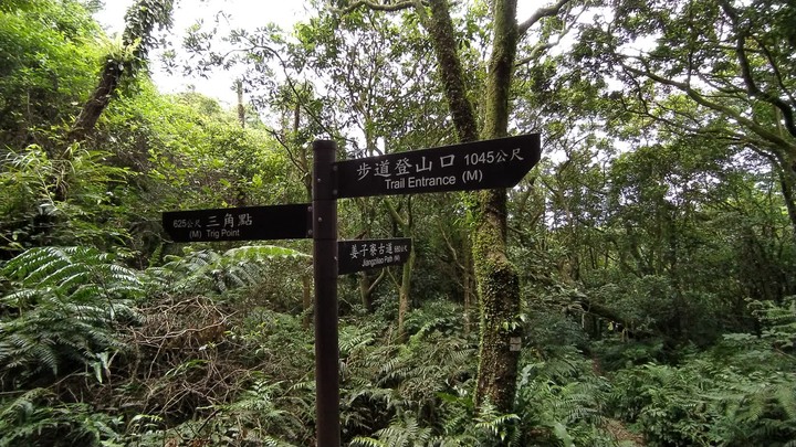 [樂山童盟] [基隆七堵] 姜子寮登山步道