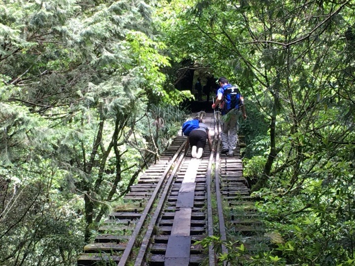 一個人探訪消失在雲霧中的森林鐵道-阿里山眠月線