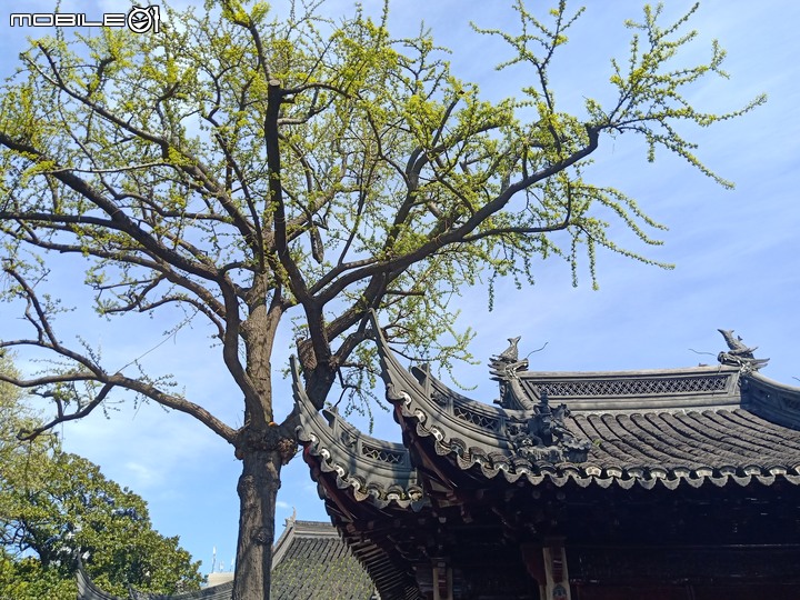 點我看大圖 魔都豫園外灘風光引人入勝!