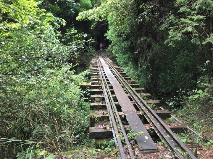一個人探訪消失在雲霧中的森林鐵道-阿里山眠月線