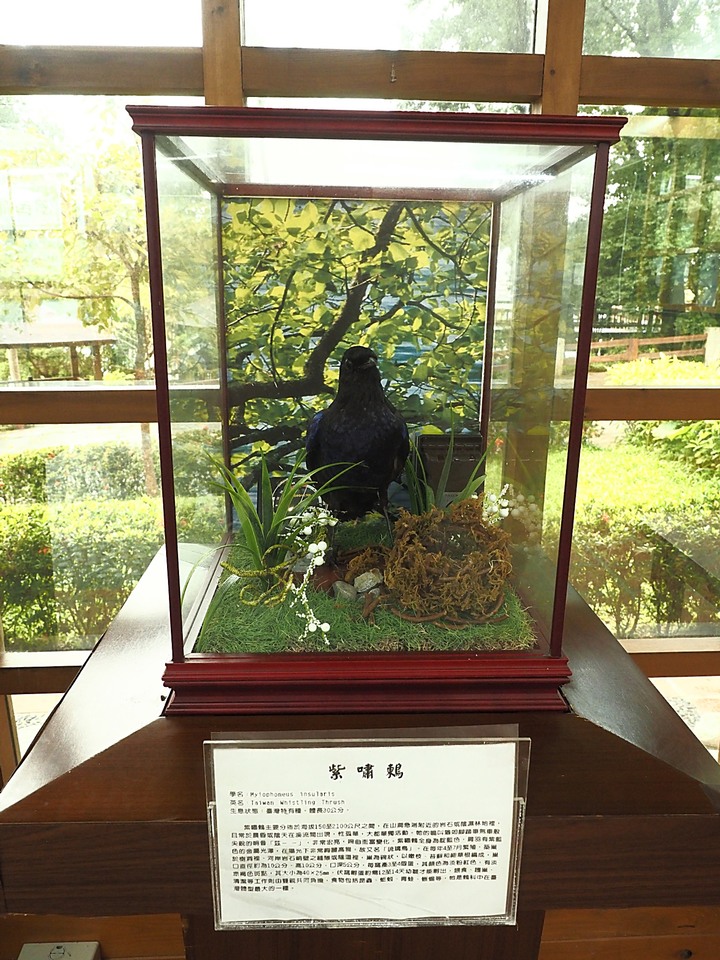 花蓮 台泥DAKA園區、CUME 咖哩、知卡宣森林公園、吉安火車站、美崙山生態展示館、台灣原住民族文化館、福杯滿溢民宿、戴記扁食—梅雨季中的花蓮旅行，第二部