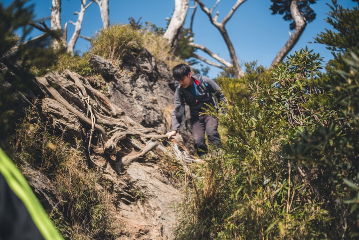 點我看大圖 登山道|北大武・單攻