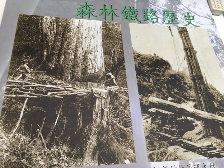 一個人探訪消失在雲霧中的森林鐵道-阿里山眠月線