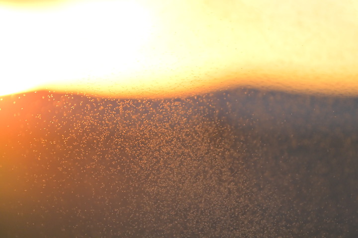 Nikon D6+556PF南州的夕陽下拍飲料廣告