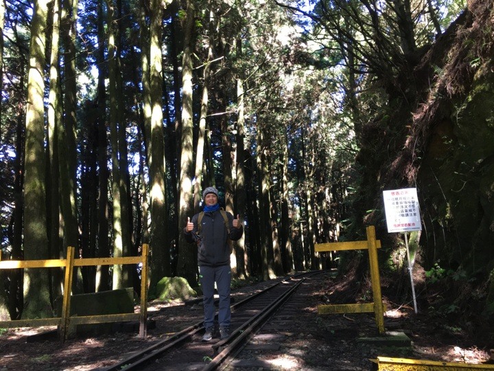 一個人探訪消失在雲霧中的森林鐵道-阿里山眠月線