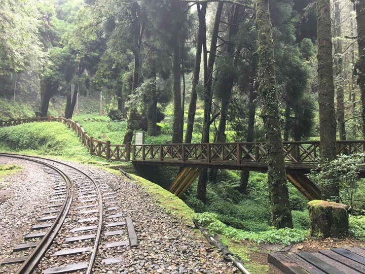一個人探訪消失在雲霧中的森林鐵道-阿里山眠月線
