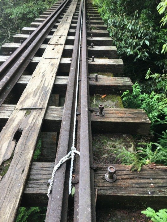 一個人探訪消失在雲霧中的森林鐵道-阿里山眠月線