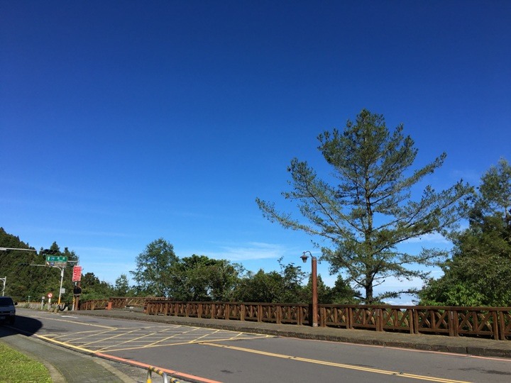 一個人探訪消失在雲霧中的森林鐵道-阿里山眠月線